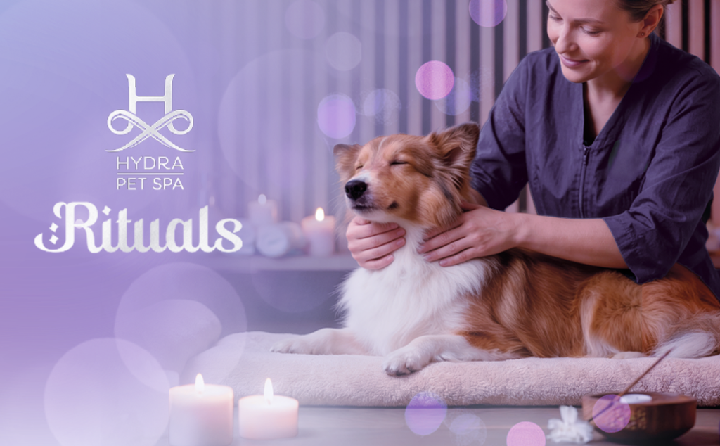 capa-home-hydra-rituals HYDRA® | Lançamento da Linha Pet Spa Rituals | W5