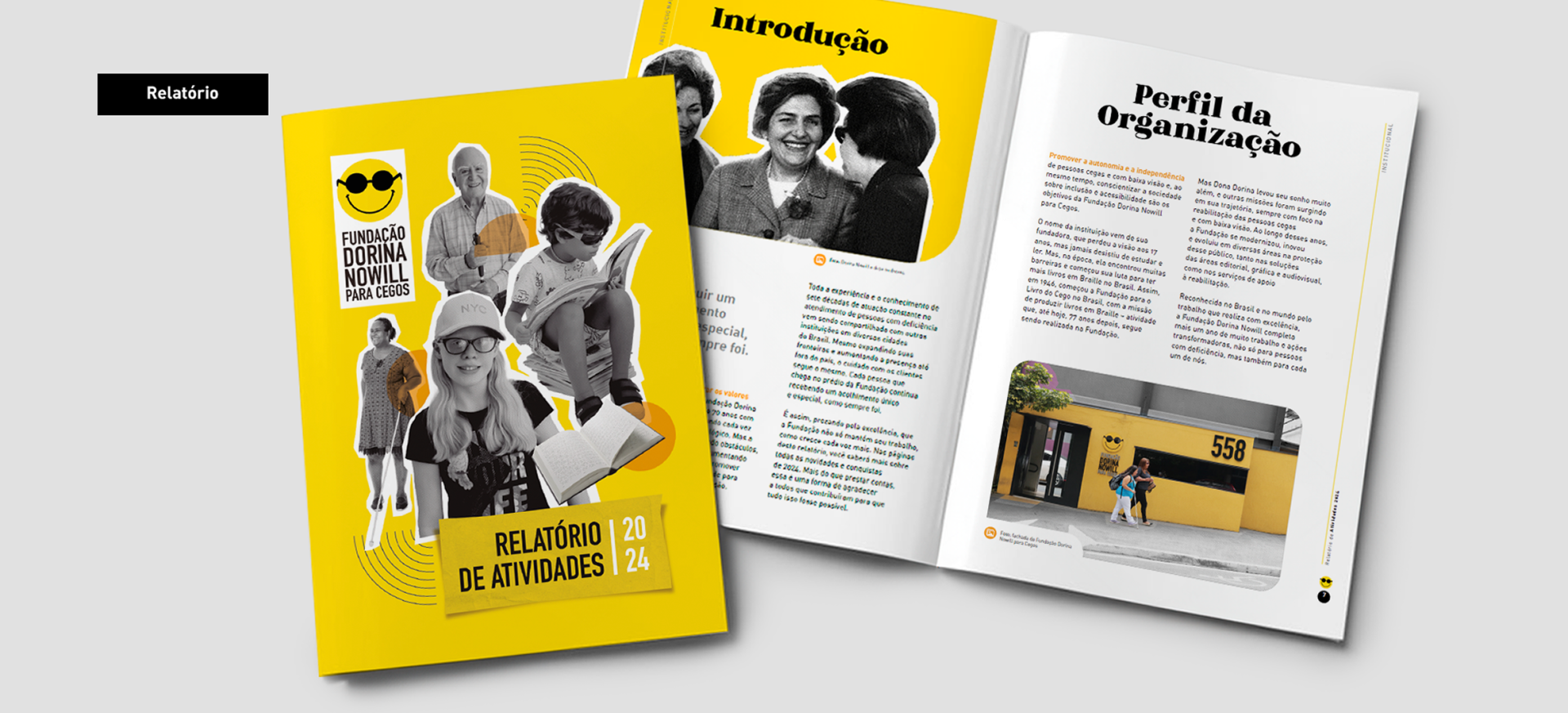 case-3-fundacao-dorina-relatorio-de-atividades